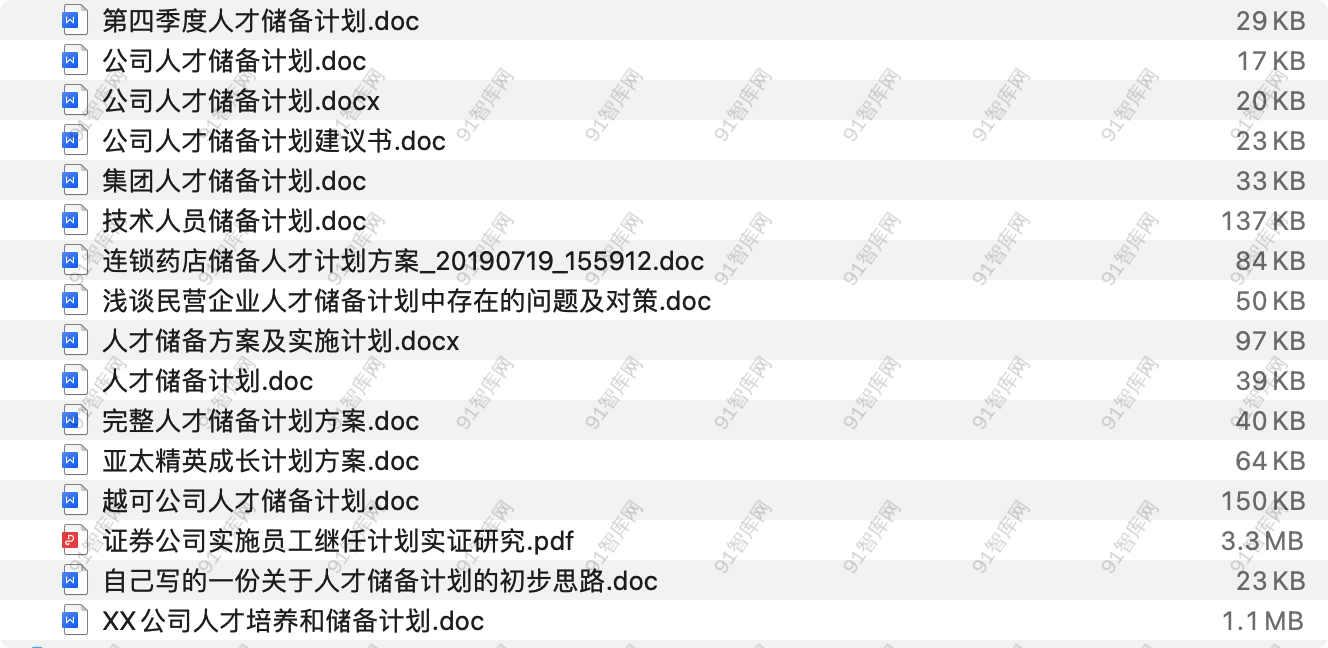 人才储备计划，共16份文档资料 [ 4.95MB ]-91智库网