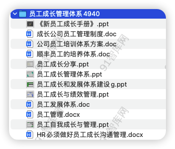 资源汇总目录：员工成长管理体系4940，共12份文档资料-91智库网