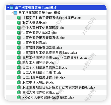 资源汇总目录：员工档案管理系统Excel模板，共18份文档资料-91智库网