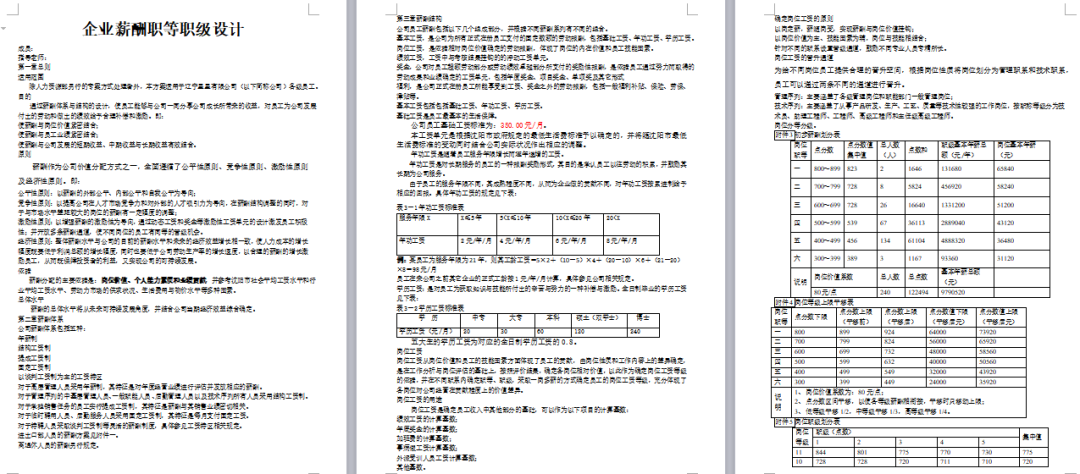 图片[20]-岗位薪酬职级体系资料-91智库网