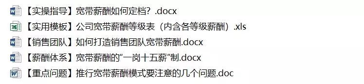 图片[6]-宽带薪酬设计工具包：教你四步玩转宽带薪酬设计（案例+实操+方法+模板）-91智库网